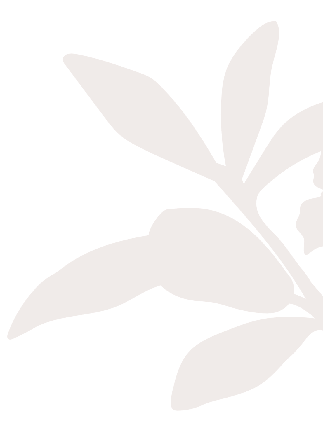 Shape